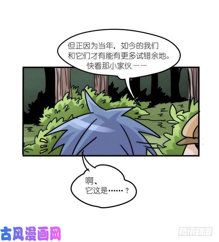 进化之基使命篇29：最优解