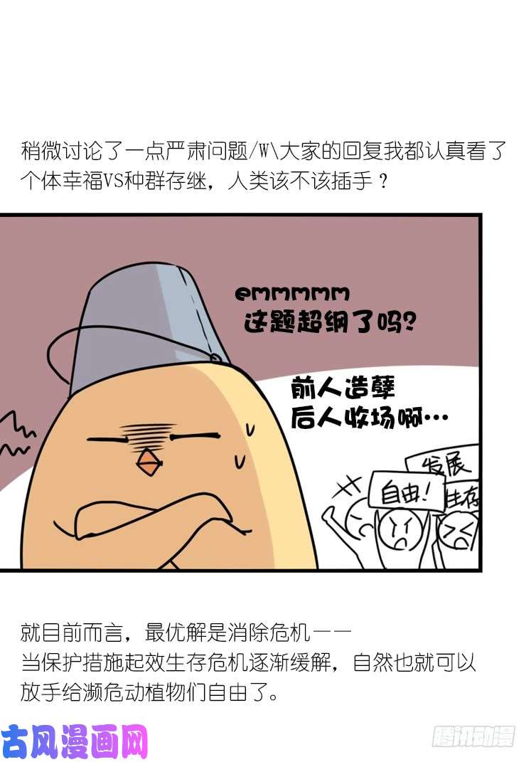 进化之基使命篇29：最优解
