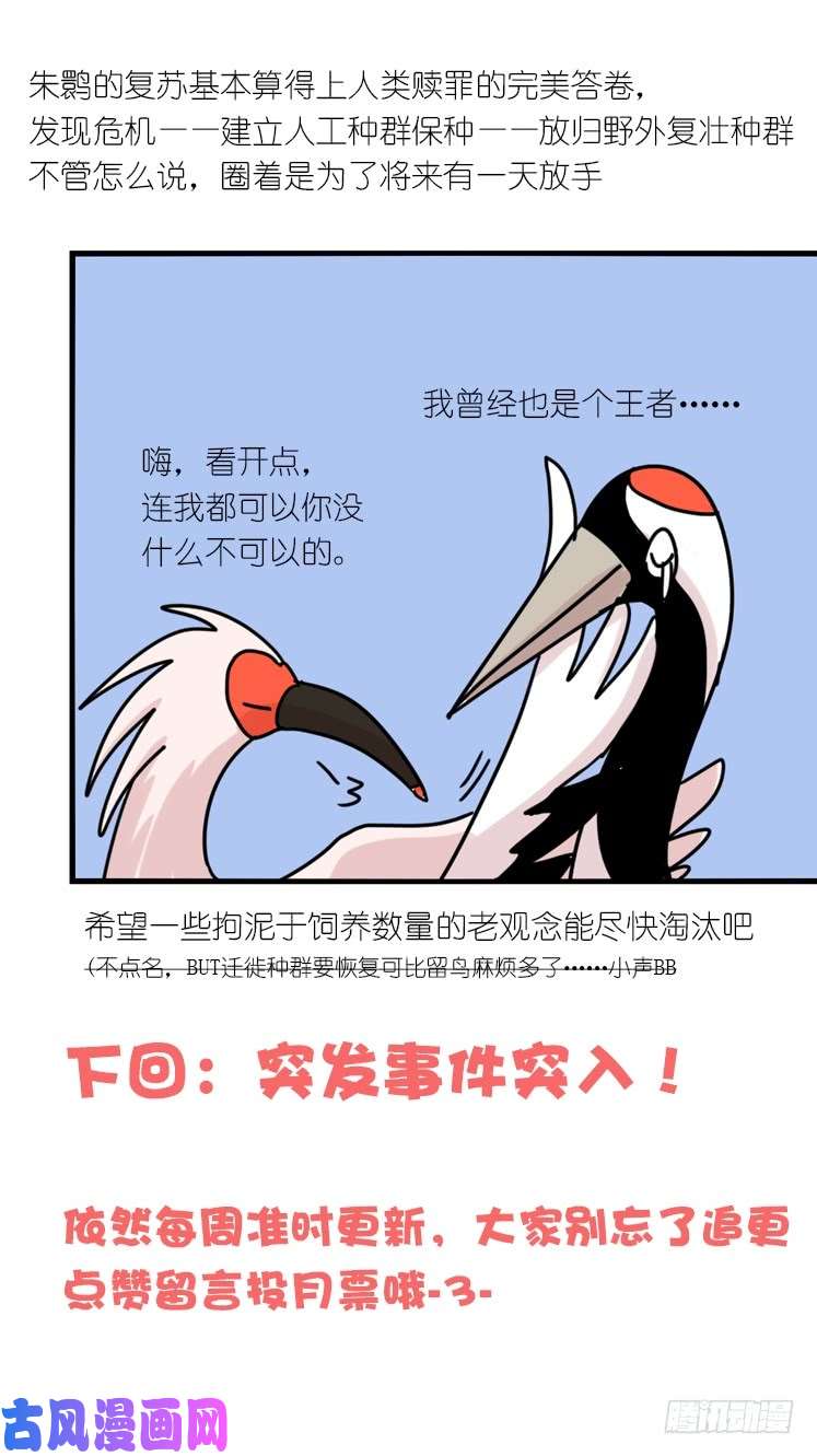 进化之基使命篇29：最优解