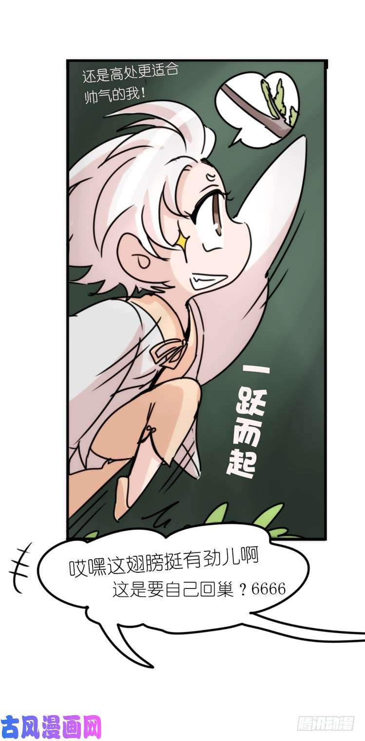 进化之基使命篇29：最优解