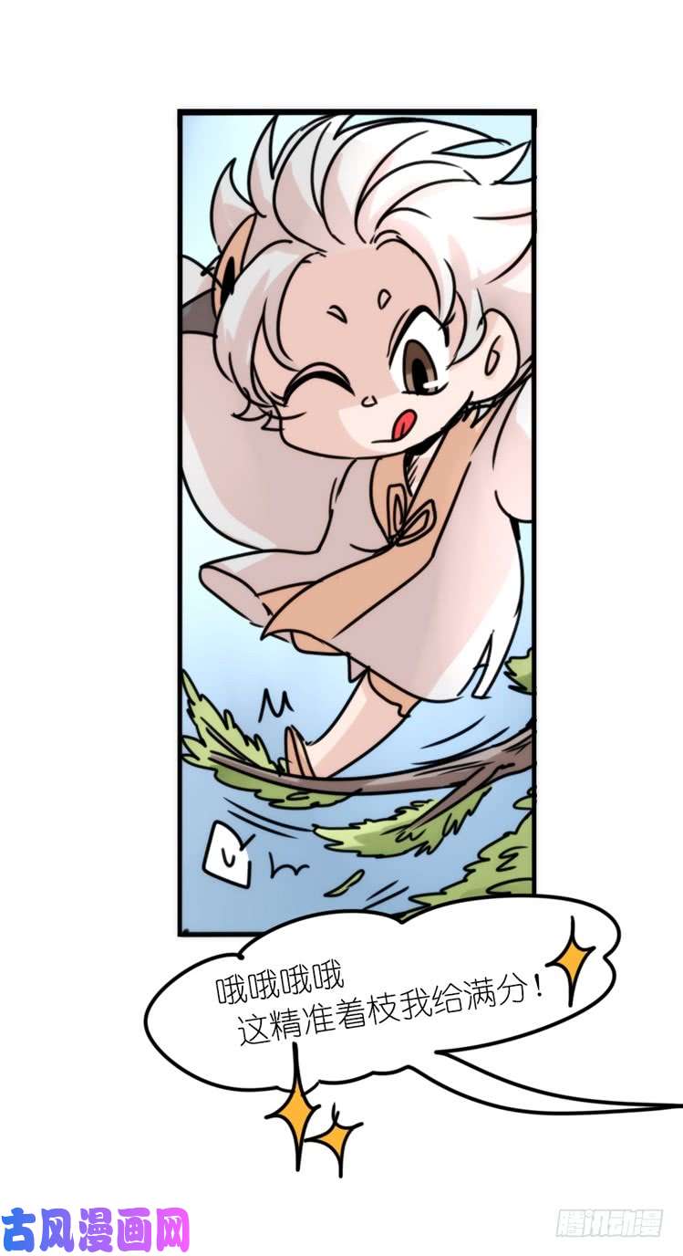 进化之基使命篇29：最优解