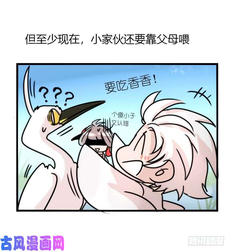 进化之基使命篇30:此重任非你莫属——