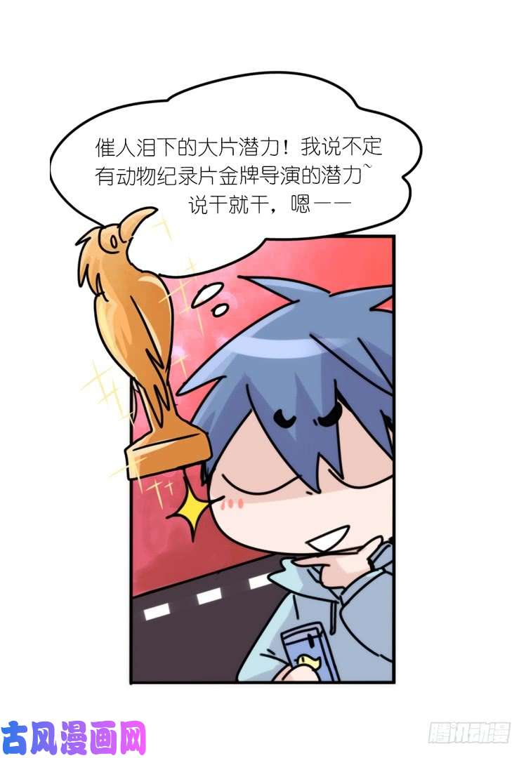 进化之基使命篇30:此重任非你莫属——