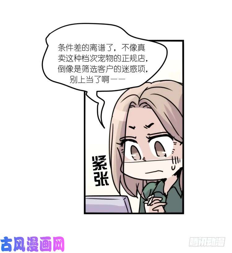 进化之基使命篇31：王牌调查员！
