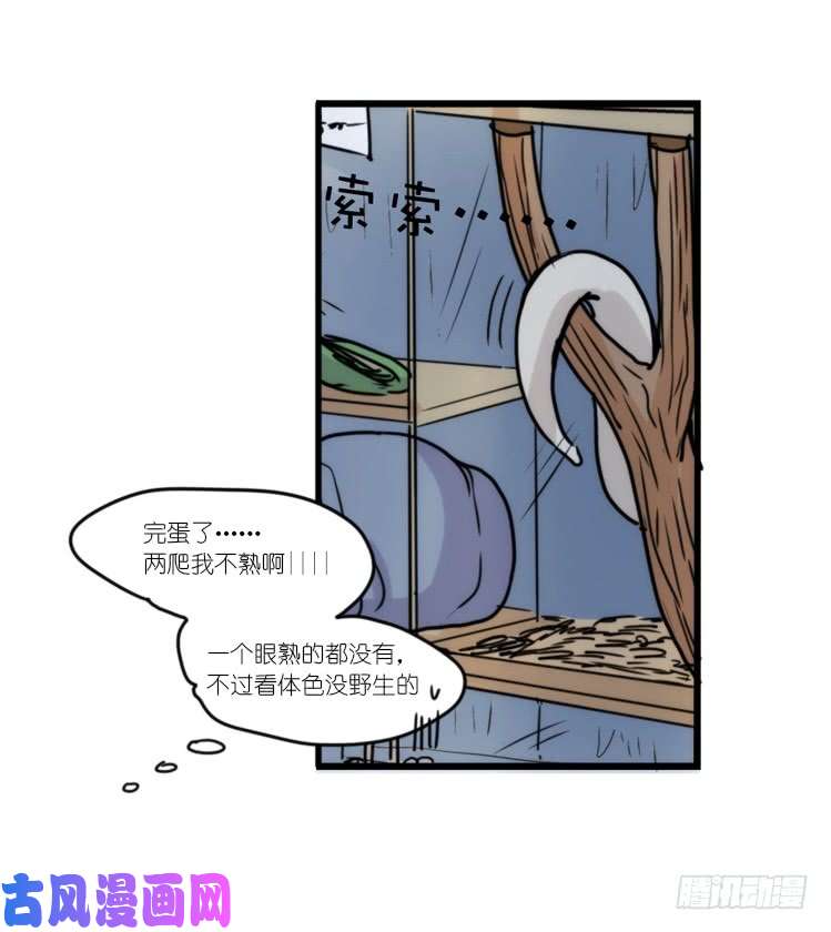 进化之基使命篇31：王牌调查员！