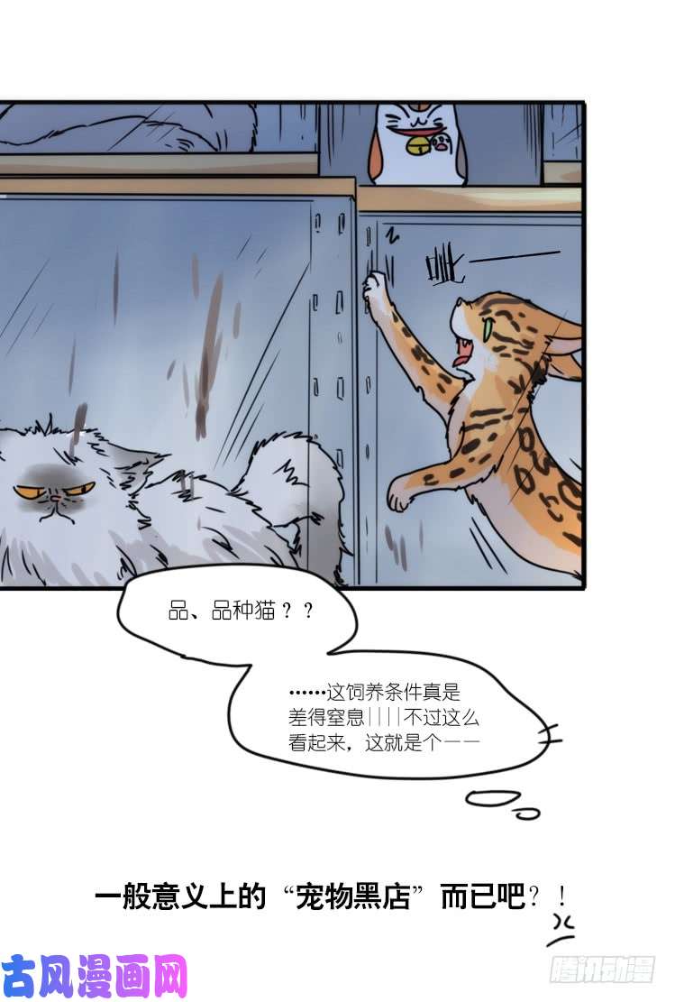 进化之基使命篇31：王牌调查员！
