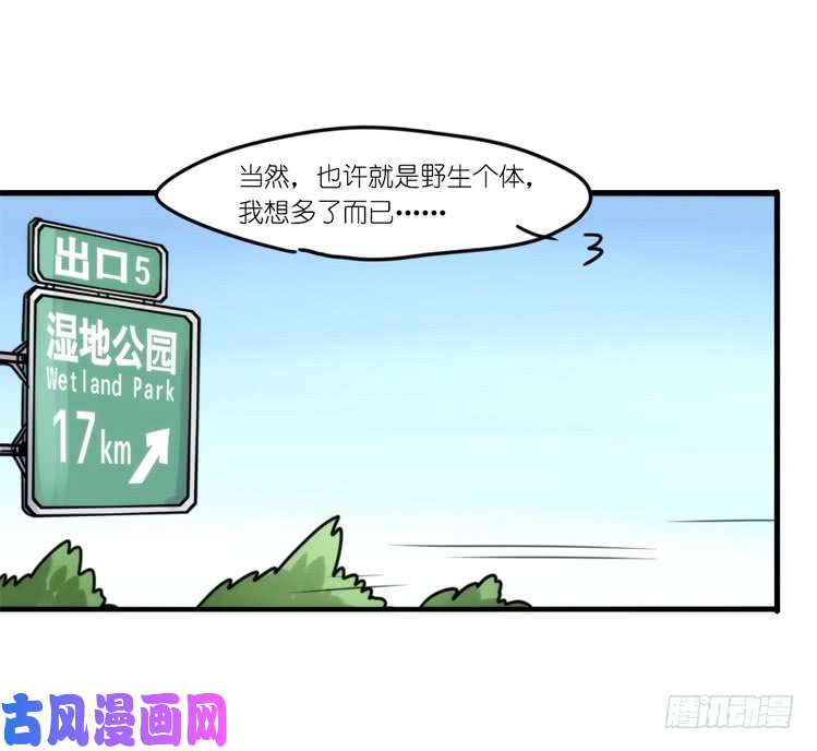 进化之基使命篇33：屋漏偏逢连夜雨