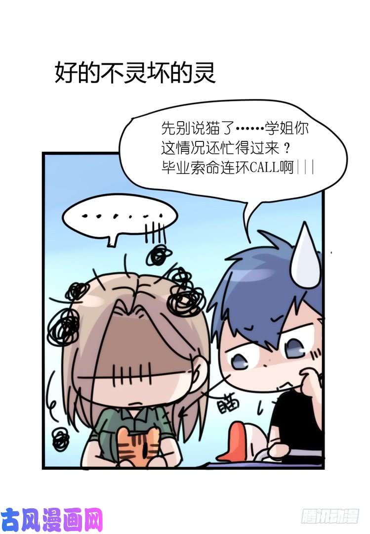 进化之基使命篇33：屋漏偏逢连夜雨