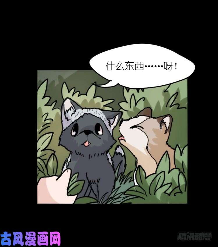 进化之基使命篇33：屋漏偏逢连夜雨