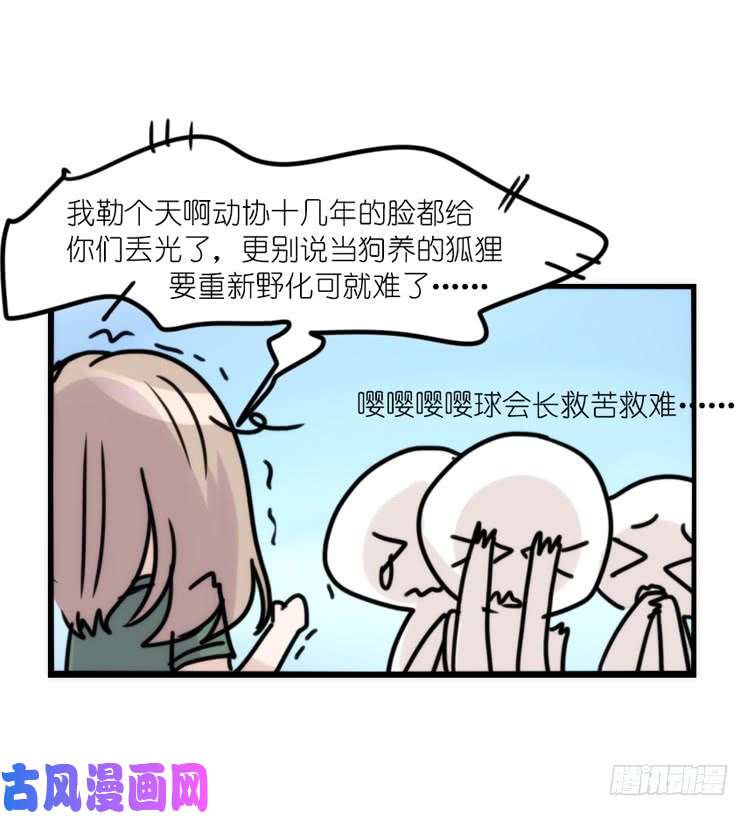 进化之基使命篇33：屋漏偏逢连夜雨