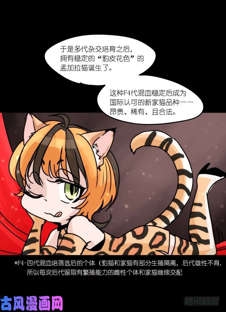 进化之基使命篇33：屋漏偏逢连夜雨