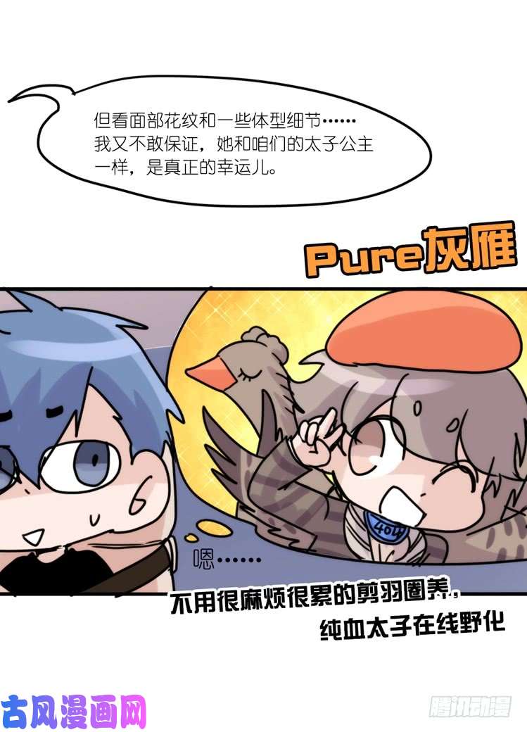 进化之基使命篇33：屋漏偏逢连夜雨