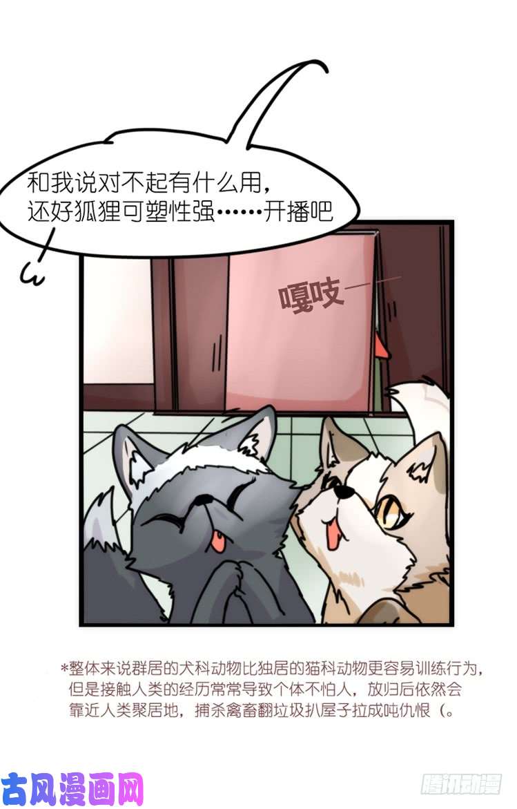 进化之基事业篇01：大戏开锣