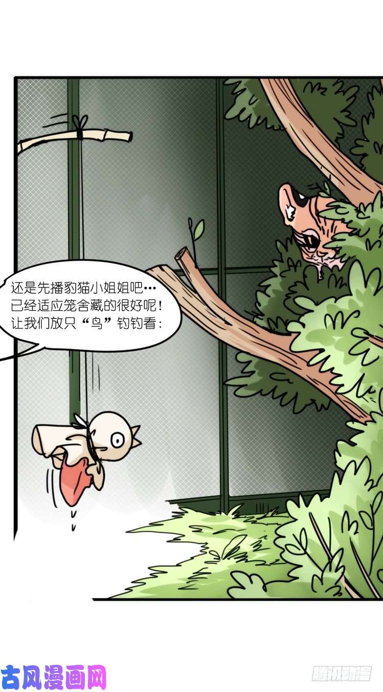 进化之基事业篇01：大戏开锣