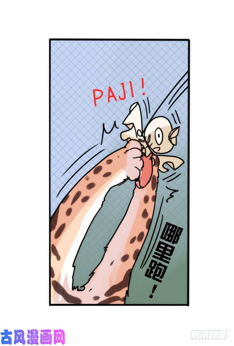进化之基事业篇01：大戏开锣