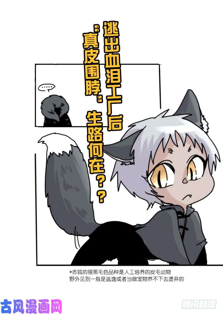 进化之基事业篇01：大戏开锣