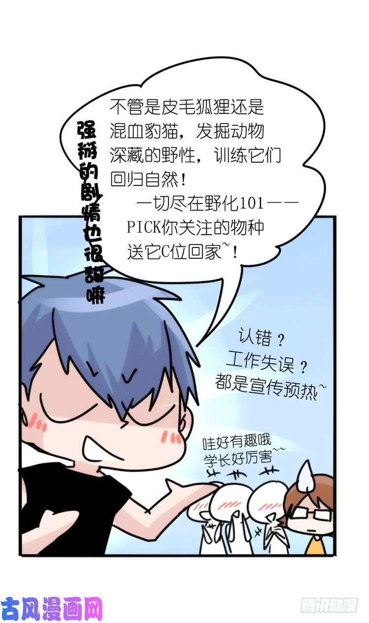 进化之基事业篇01：大戏开锣