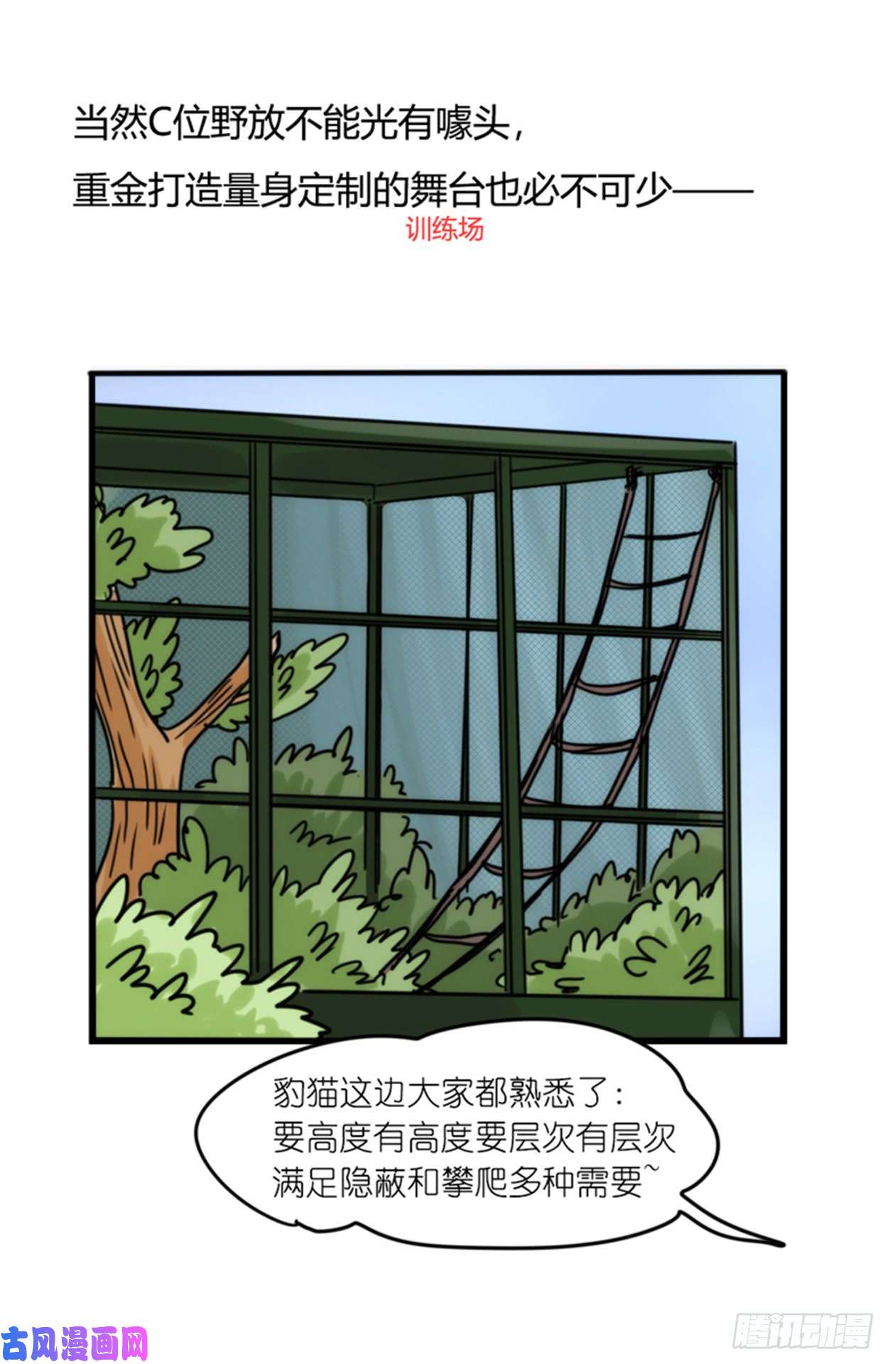 进化之基事业篇02：起点低……进步大呀