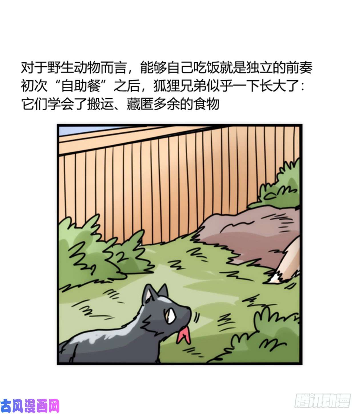 进化之基事业篇02：起点低……进步大呀
