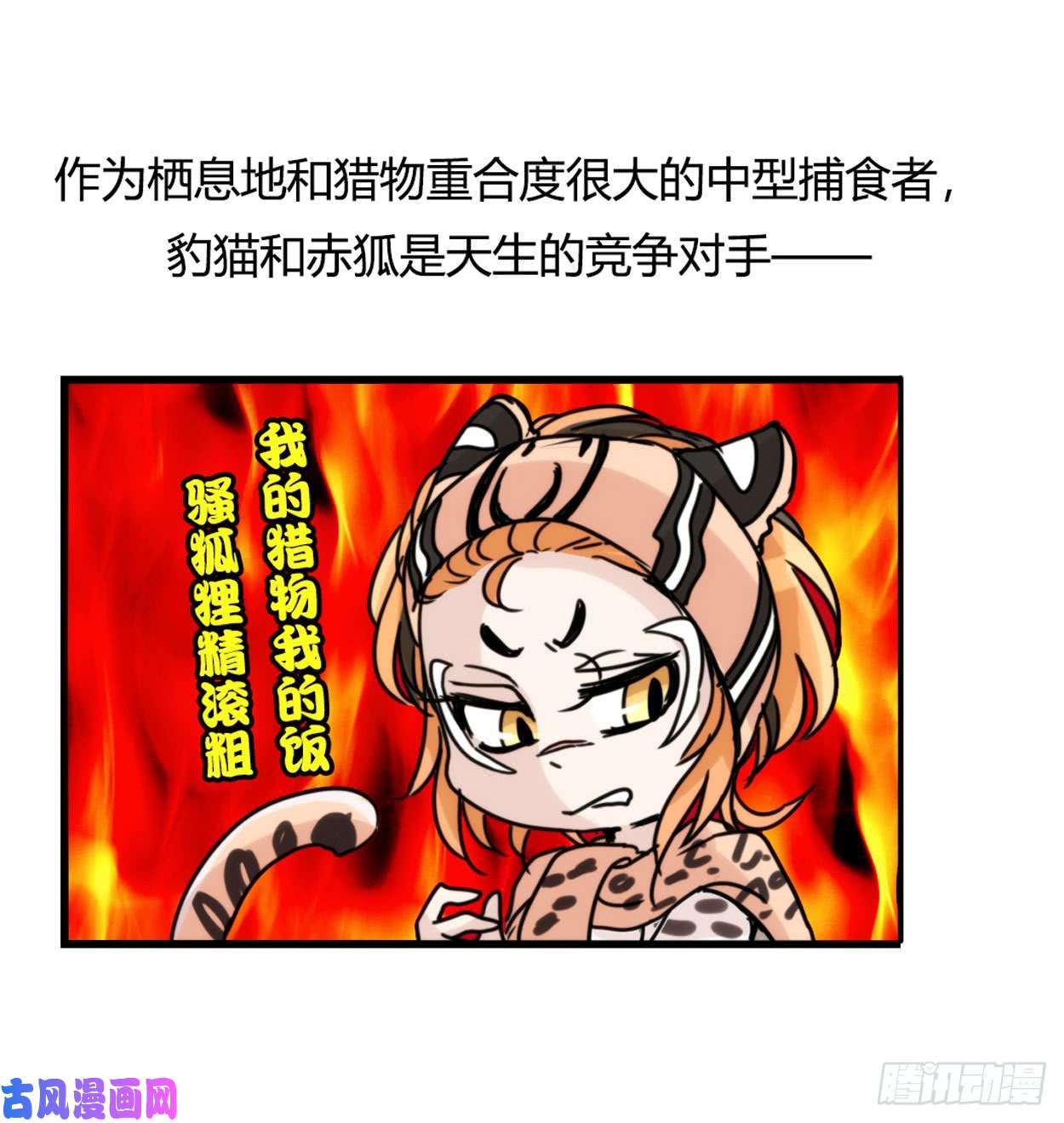 进化之基事业篇03：狐狐去哪儿了？