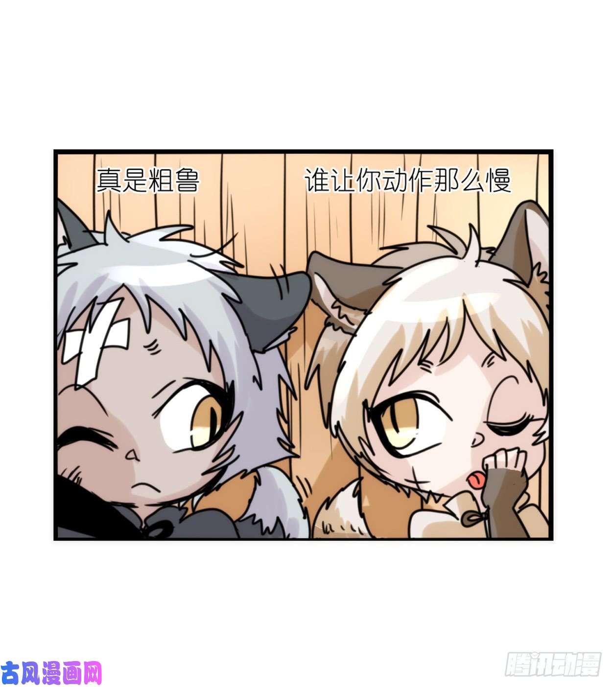 进化之基事业篇03：狐狐去哪儿了？