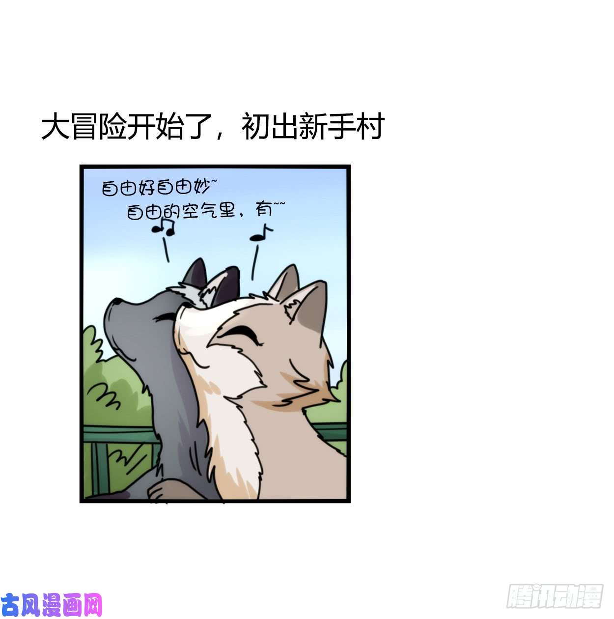 进化之基事业篇03：狐狐去哪儿了？