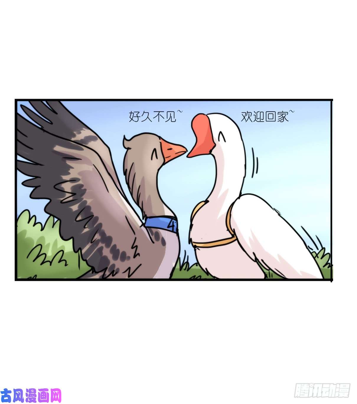 进化之基事业篇04：谁来拯救翻车直播
