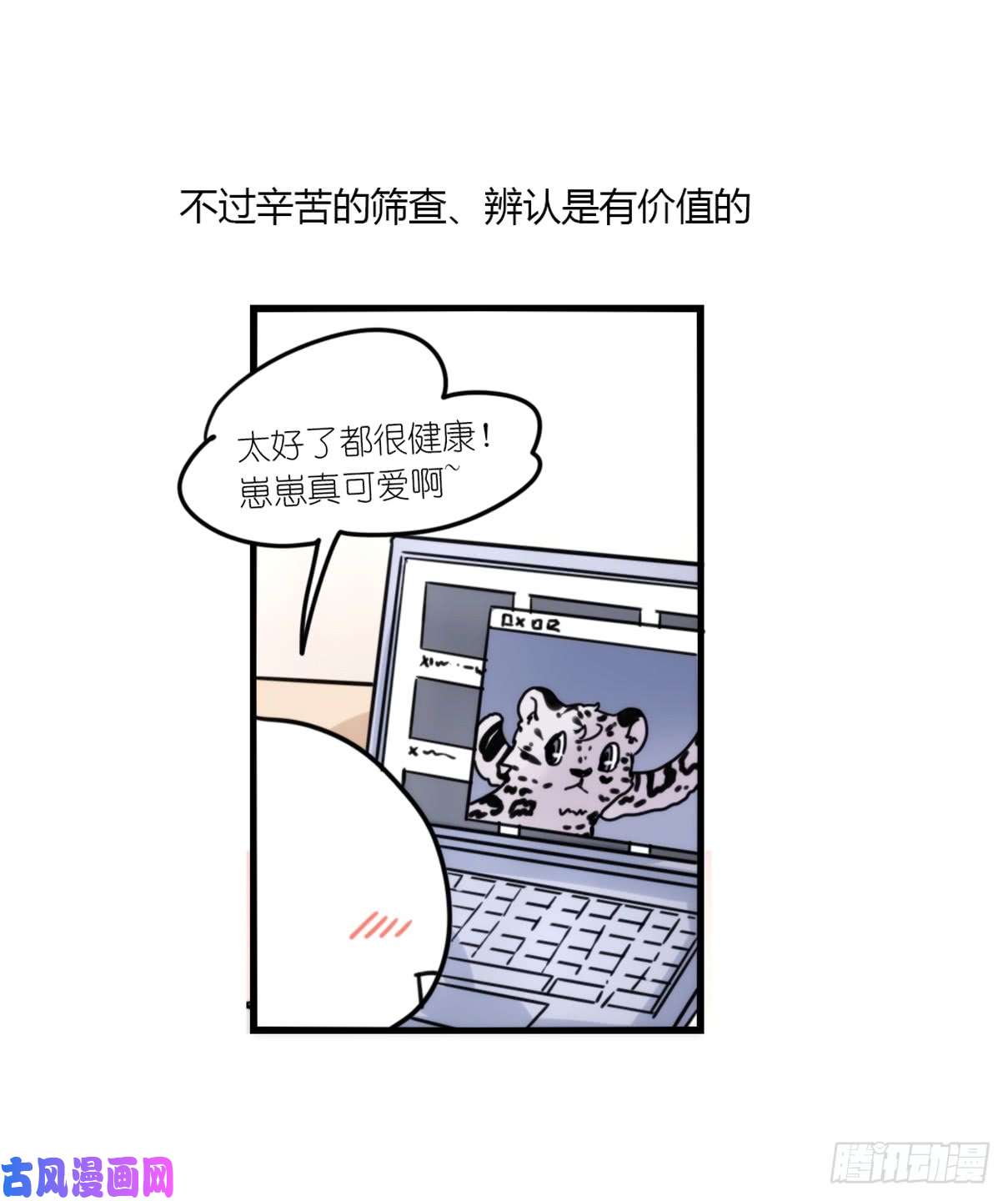 进化之基事业篇07：雪豹成为偶像！-1
