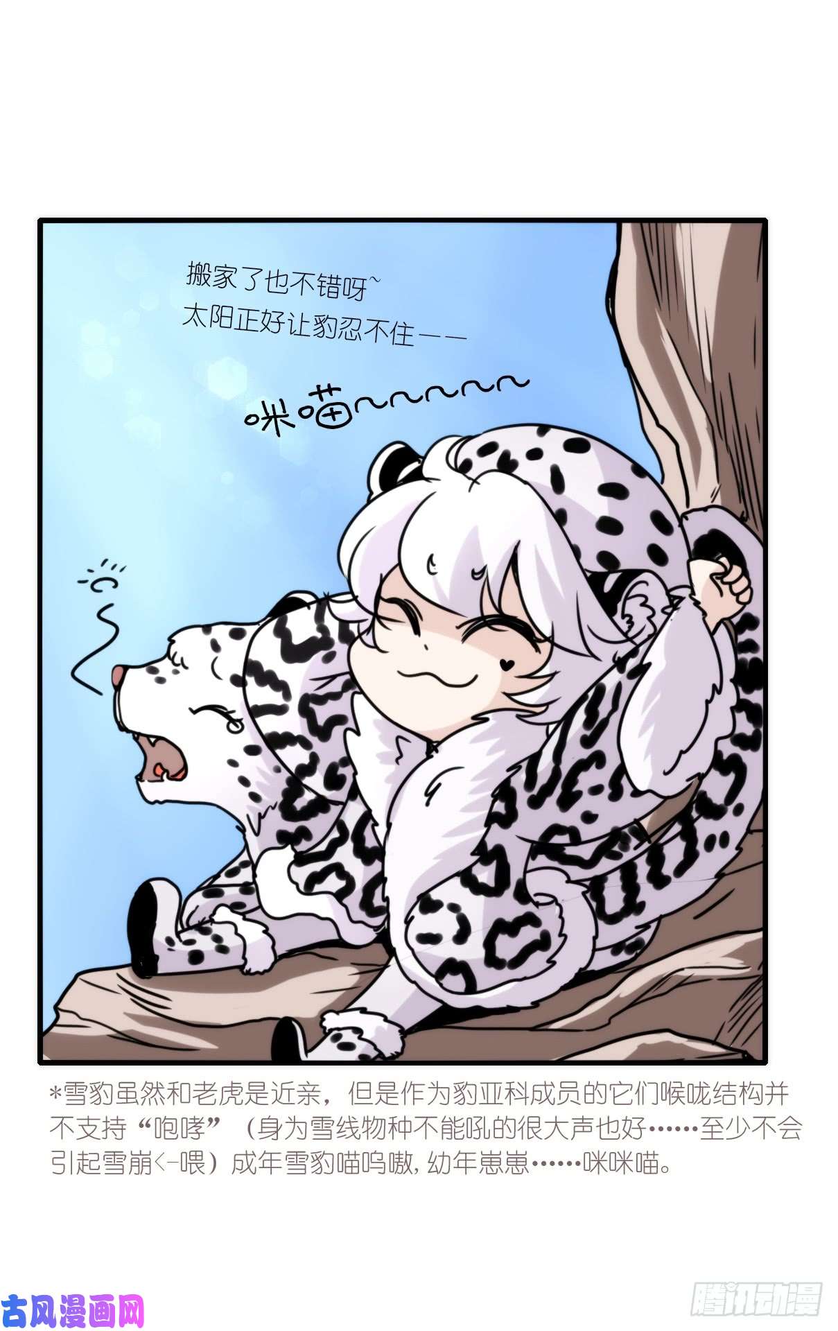 进化之基事业篇07：雪豹成为偶像！-1