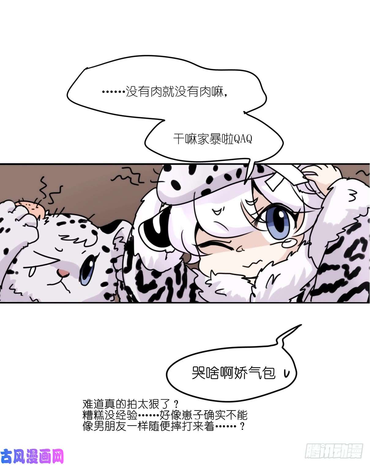 进化之基事业篇07：雪豹成为偶像！-1