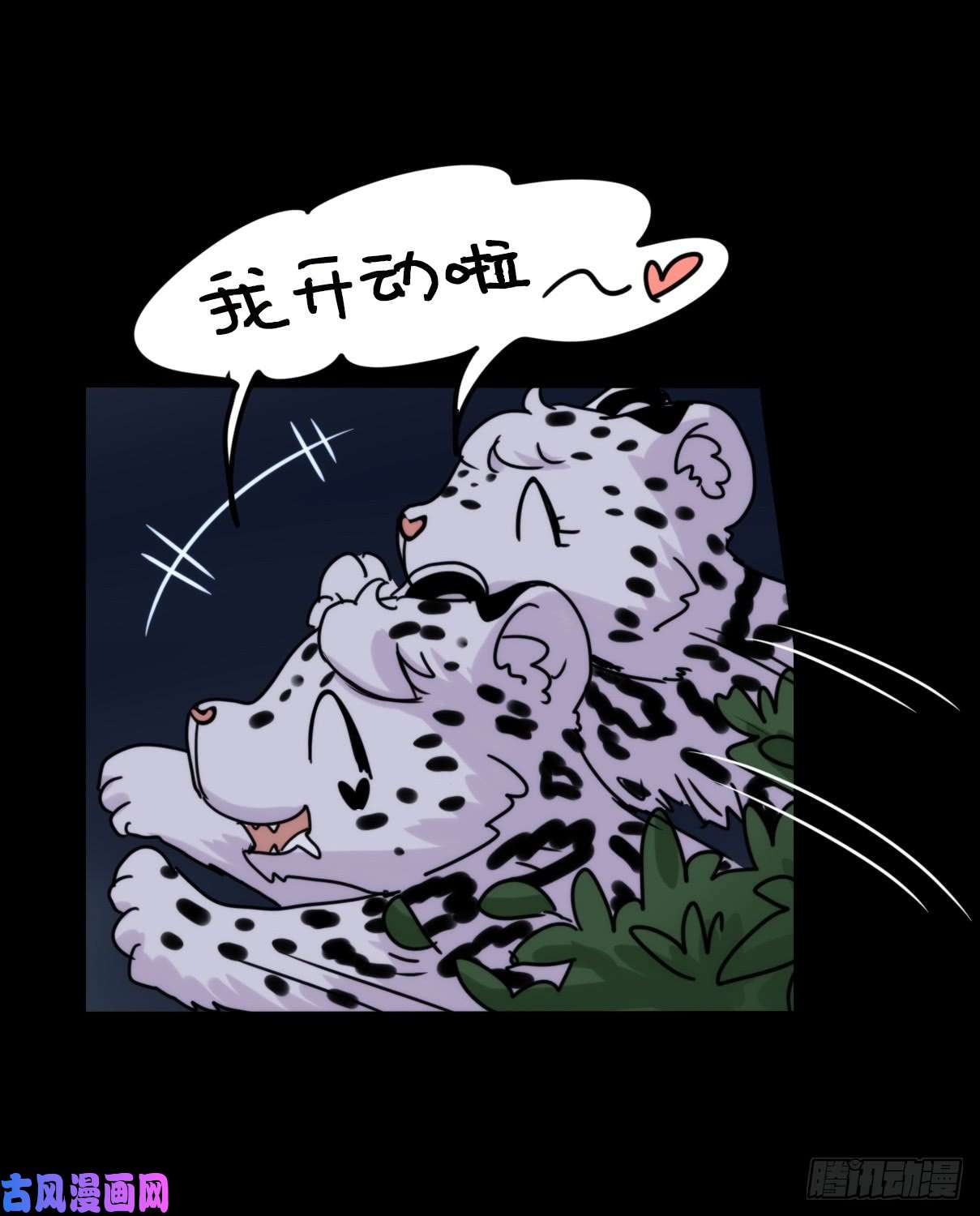 进化之基事业篇07：雪豹成为偶像！-1