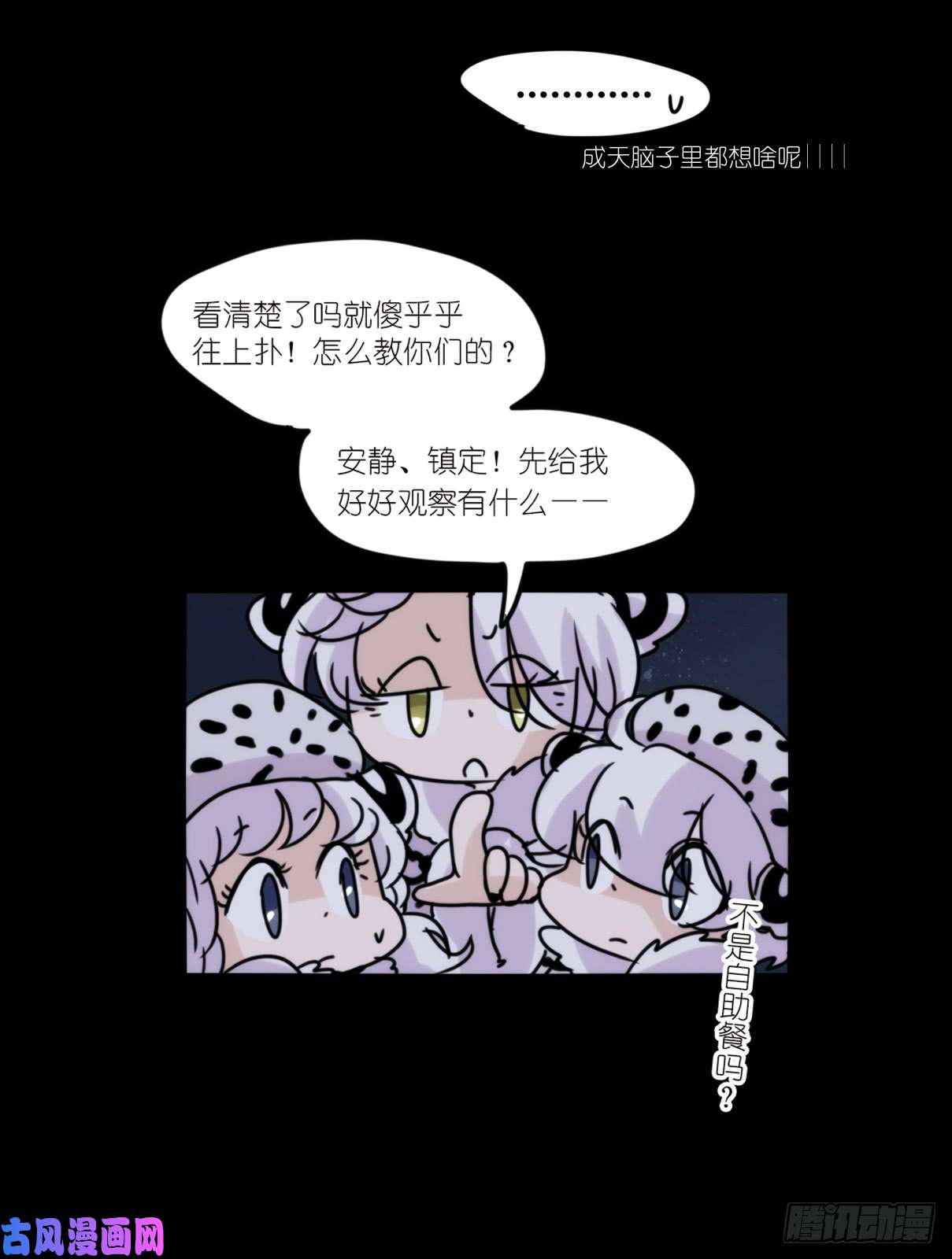 进化之基事业篇07：雪豹成为偶像！-1