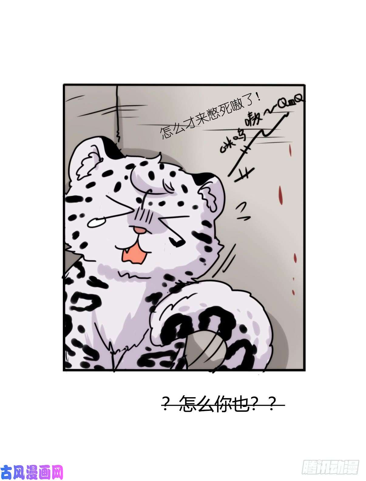 进化之基事业篇09：雪豹成为偶像！-3
