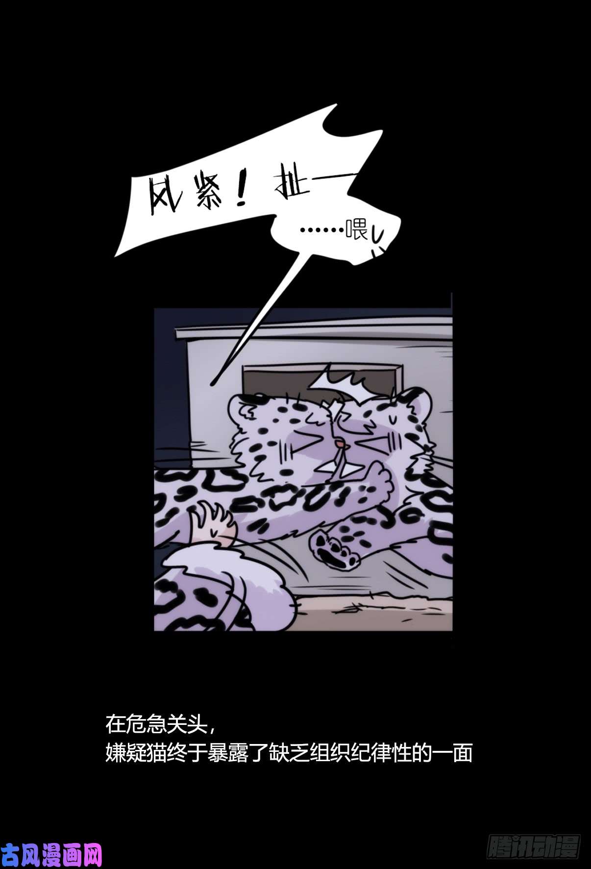 进化之基事业篇09：雪豹成为偶像！-3