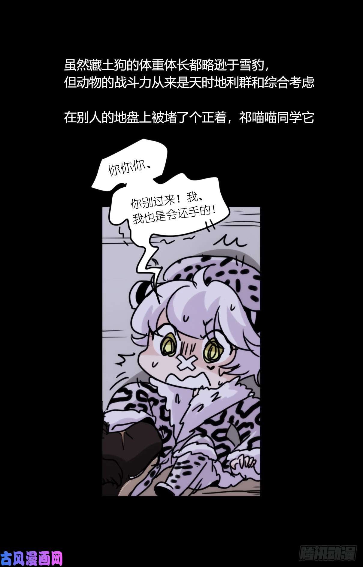 进化之基事业篇09：雪豹成为偶像！-3