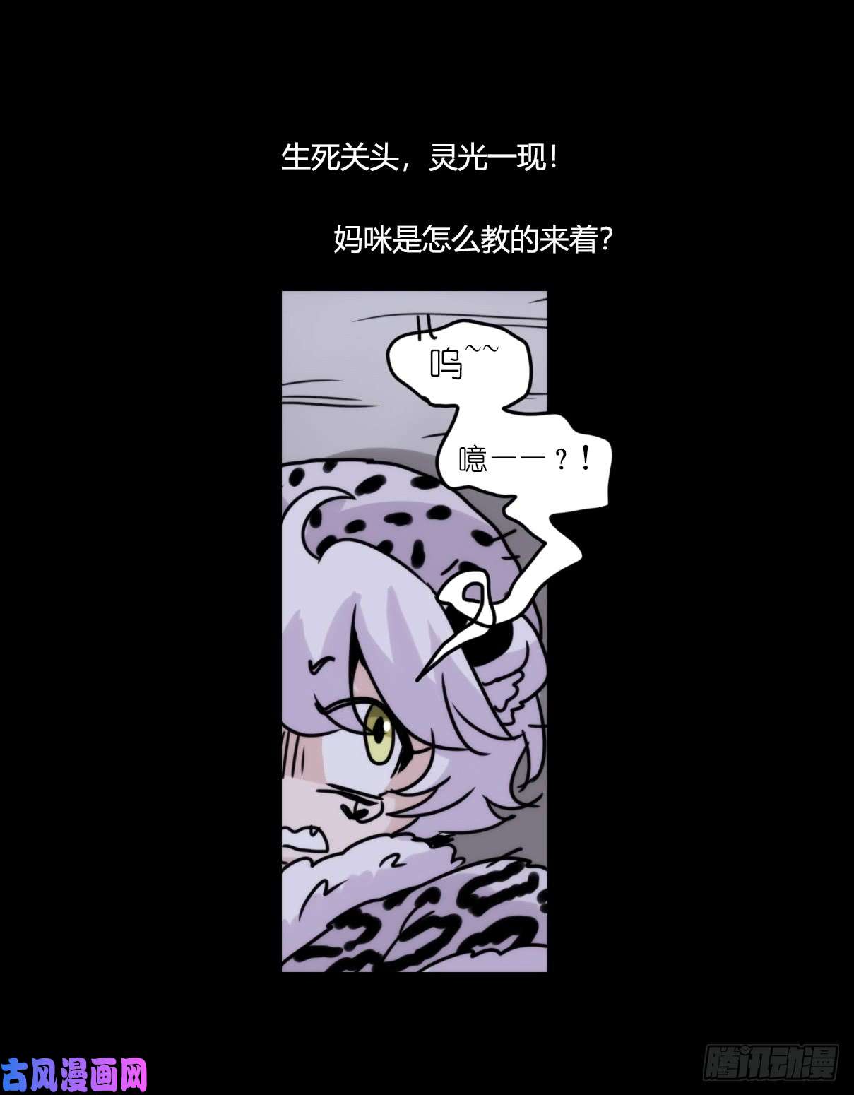 进化之基事业篇09：雪豹成为偶像！-3