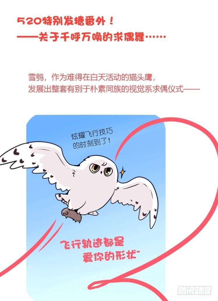 进化之基是这样的狮JI王？！05番外