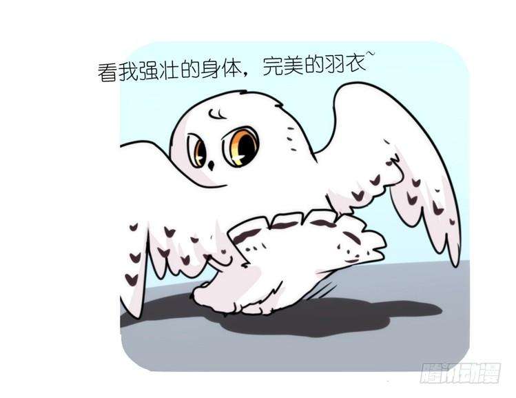 进化之基是这样的狮JI王？！05番外