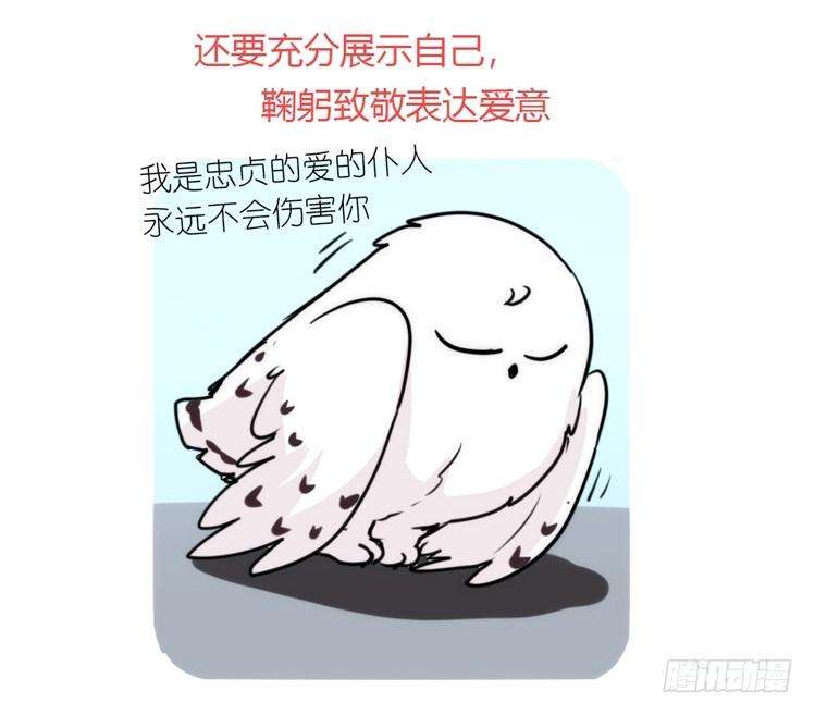 进化之基是这样的狮JI王？！05番外
