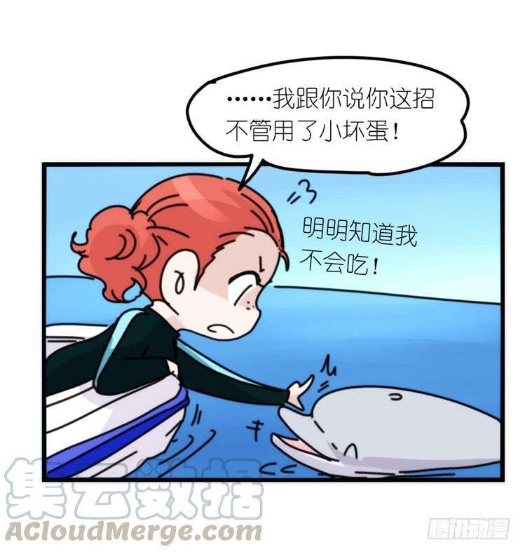 进化之基海洋精灵：目标是王牌