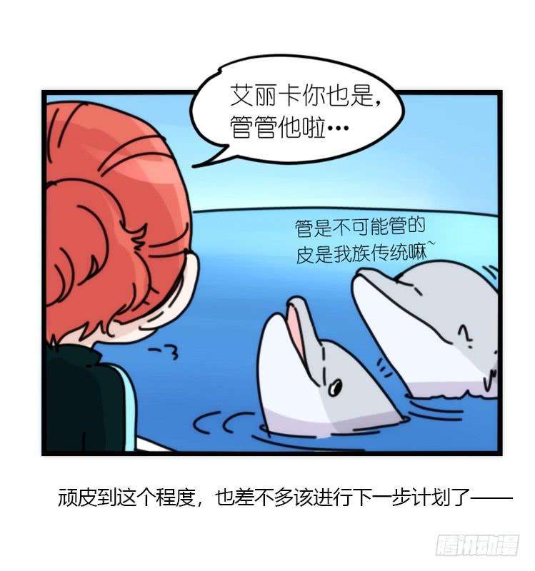 进化之基海洋精灵：目标是王牌
