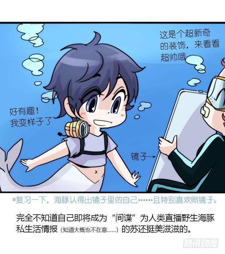 进化之基海洋精灵：目标是王牌