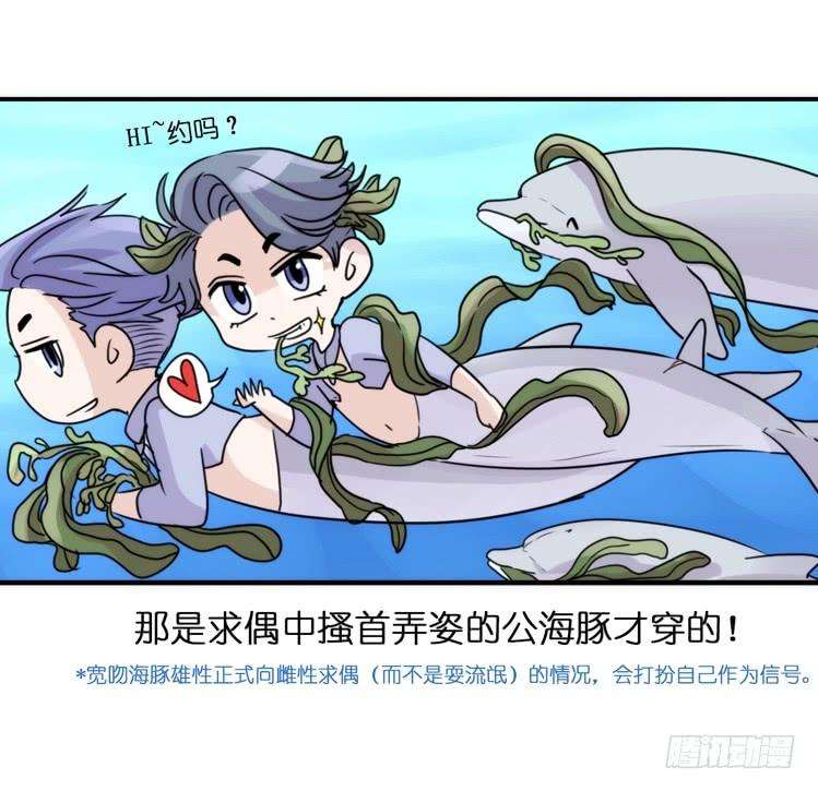 进化之基海洋精灵：目标是王牌