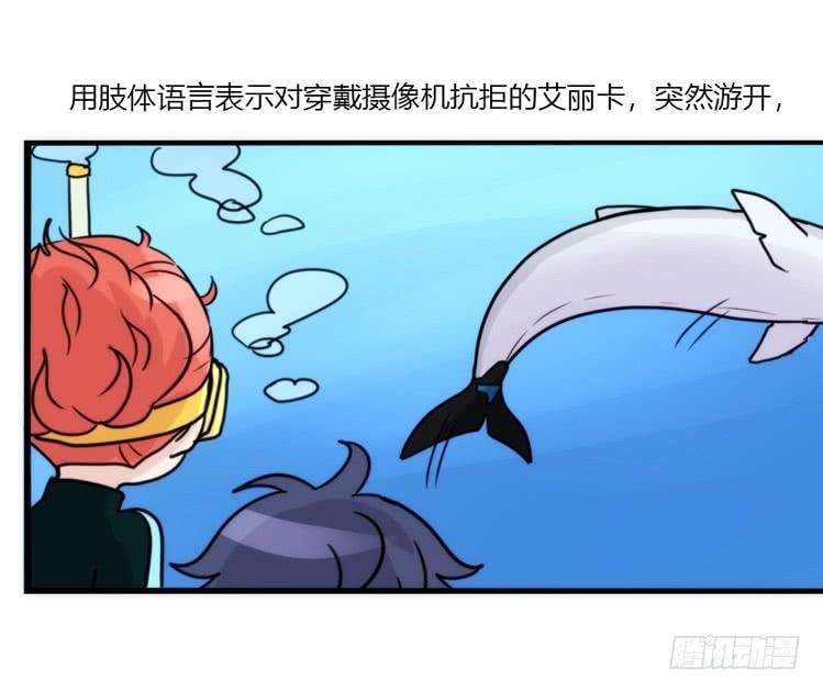 进化之基海洋精灵：目标是王牌