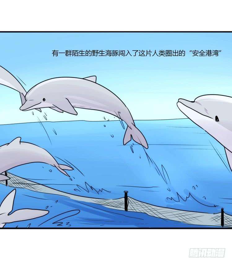 进化之基海洋精灵：目标是王牌