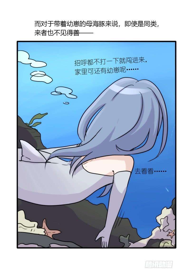 进化之基海洋精灵：目标是王牌