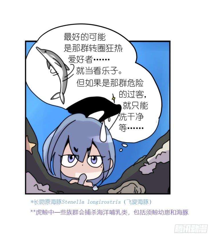 进化之基海洋精灵：目标是王牌
