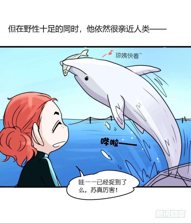 进化之基海洋精灵：目标是王牌