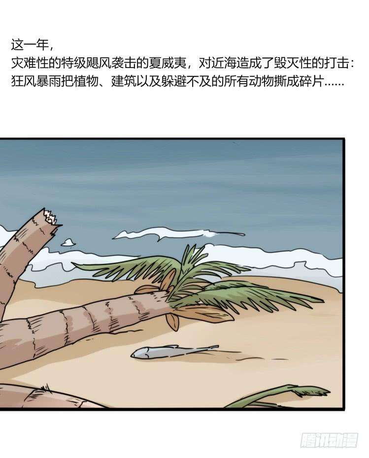 进化之基海洋精灵：约好了！（鹅霸剧场2