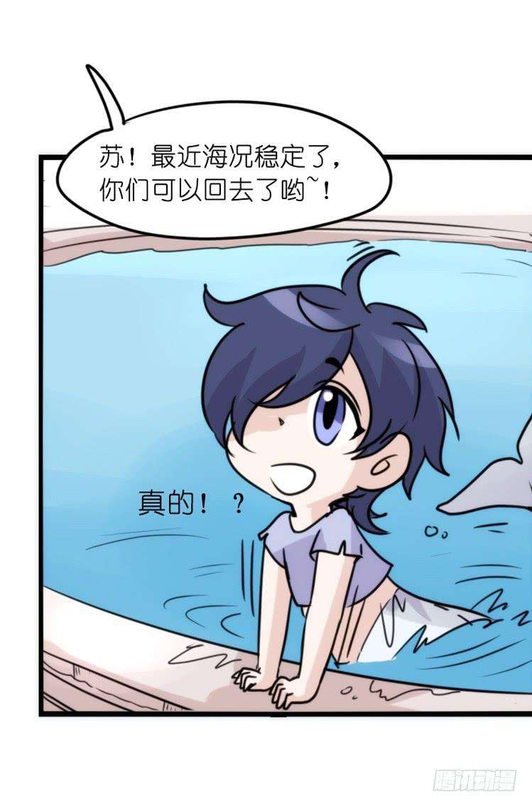 进化之基海洋精灵：约好了！（鹅霸剧场2